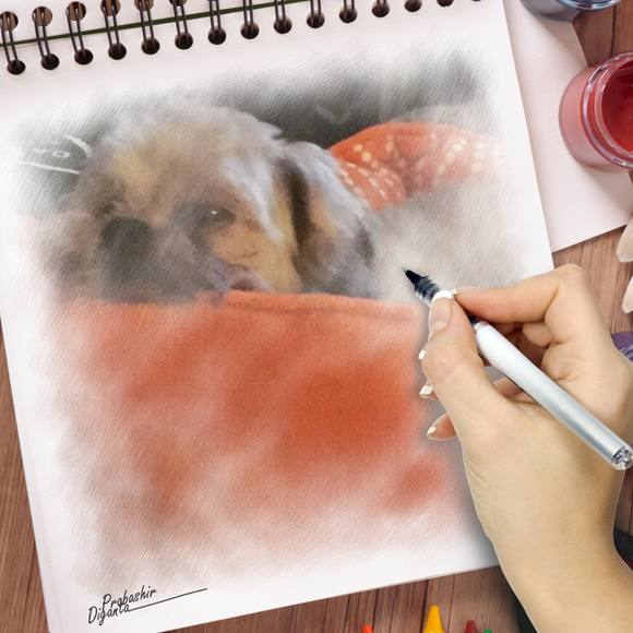 Meet your Posher, Cynthia - Picture 1 of 1